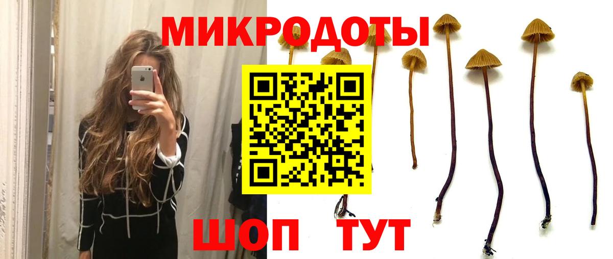 купить  сайты  Псилоцибиновые грибы Psilocybe  Вход с VPN  Златоуст 